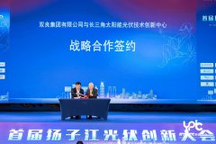 行业前沿 双良声音｜发展光伏新质生产力，共建产业链新生态