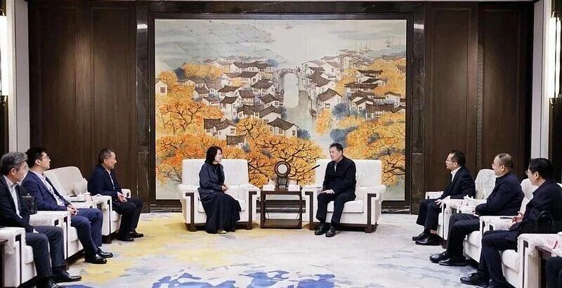 省长会见、联手李书福，南京“铁娘子”这一个月密集出击